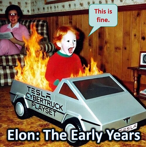 elonhecepflames