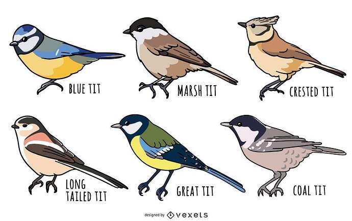 what-sort-of-tits-you-like-v0-iii578fxf49a1