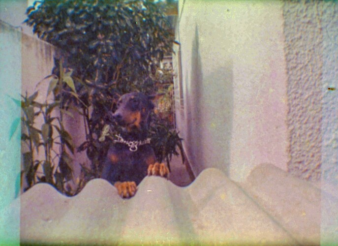 0006_edited