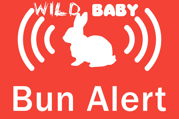 Wild Baby Bun Alert