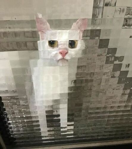 613