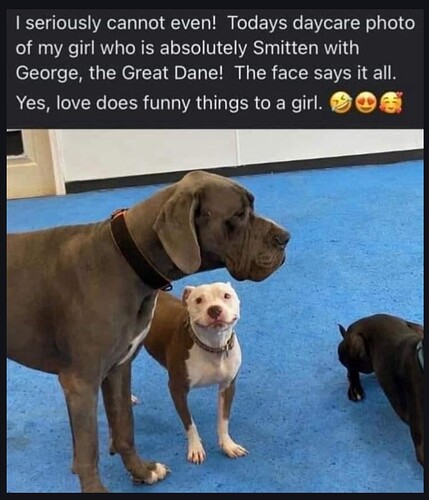 1000039828