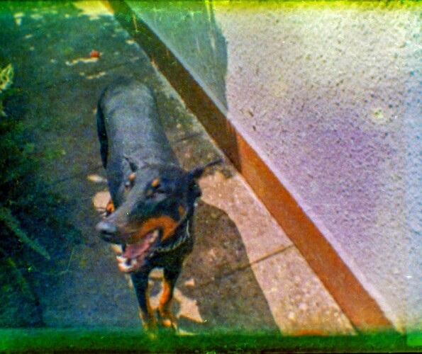 0001_edited