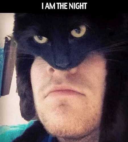 batman-in-real-life-moment-with-cat-superheroes_a