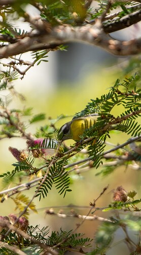 IMG_0013-2