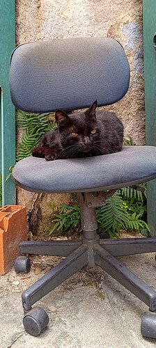 IMG_20250715_101736
