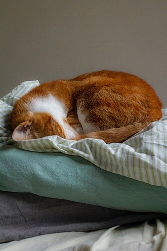 napster