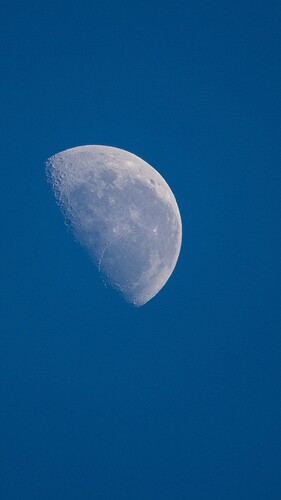 killing_moon_will_come_too_soon