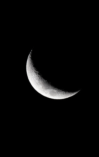 moonie