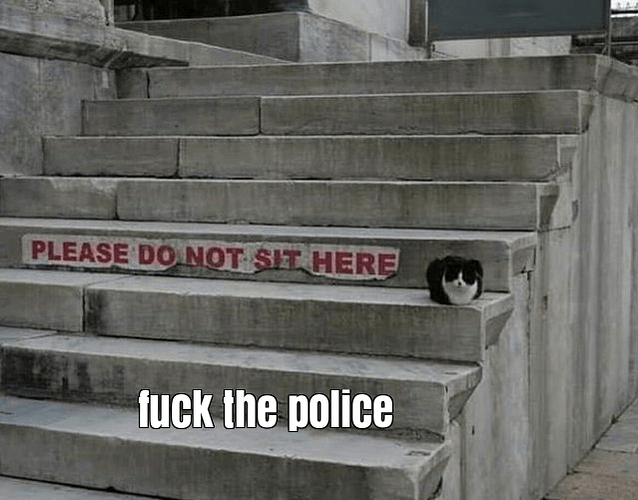 ftp_cat_steps