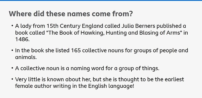7-25-2025 collective nouns