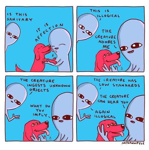 1000037782