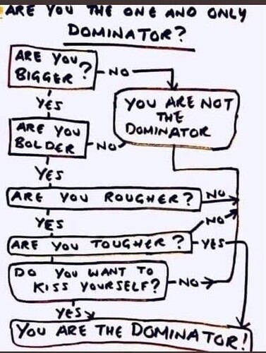 dominator