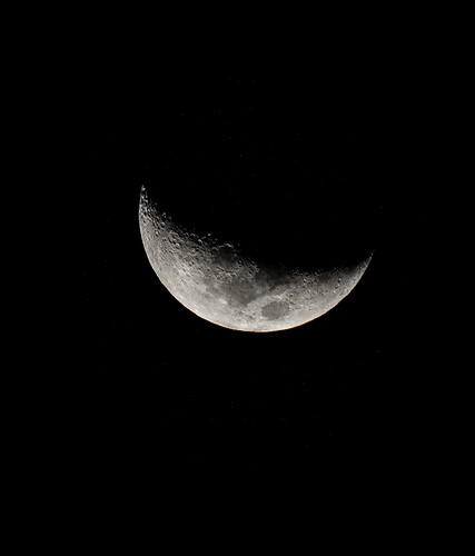 IMG_3289