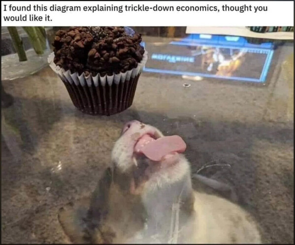 meme trickle down economics cat cupcake table