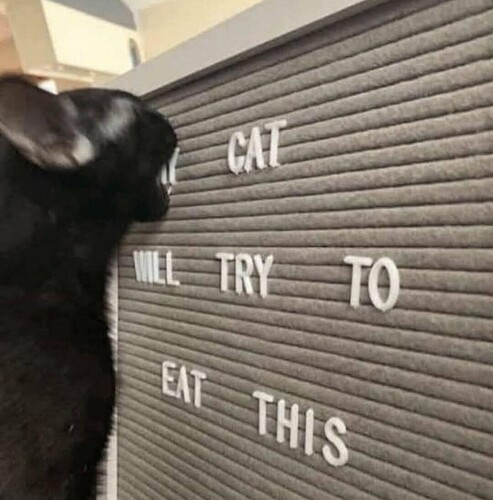 1000048097