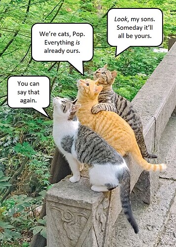catshecepown