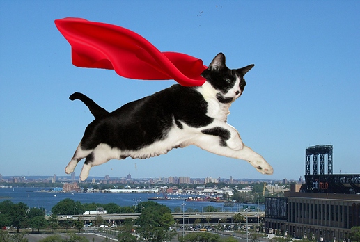 supercat