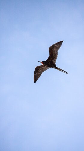 IMG_0293