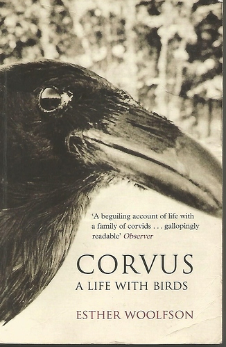 Corvus.jpeg