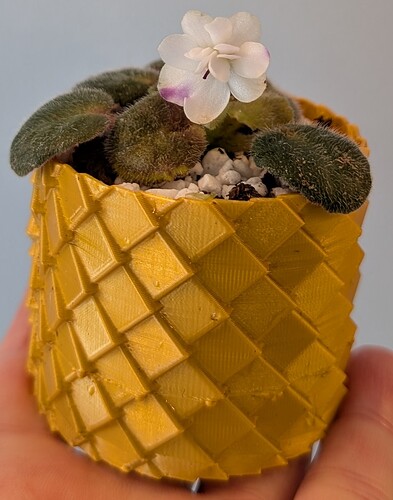 Dragon Scales 04