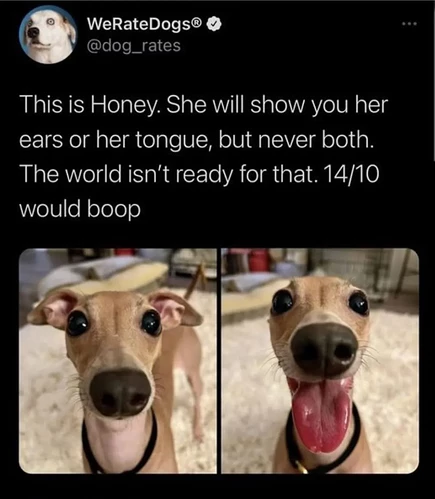 1000042742