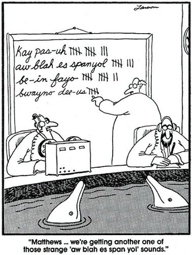 96b49e53a7453da93ca7e788a5a023b7--far-side-cartoons-funny-cartoons-4019522971