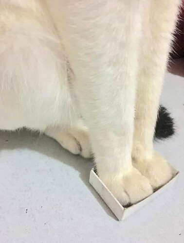 vCuGP0v