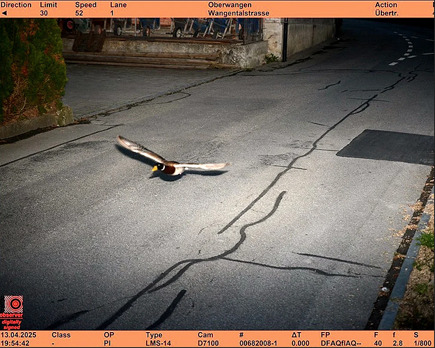 Screen Shot 2025-05-18 at 19.58.29
