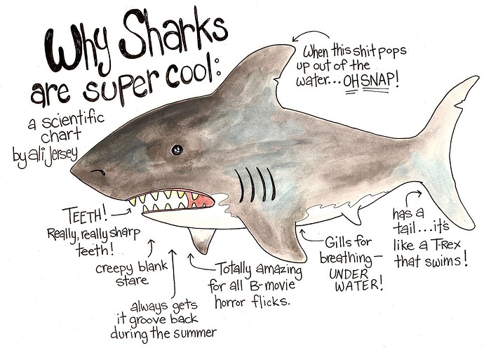 whysharksaresupercool