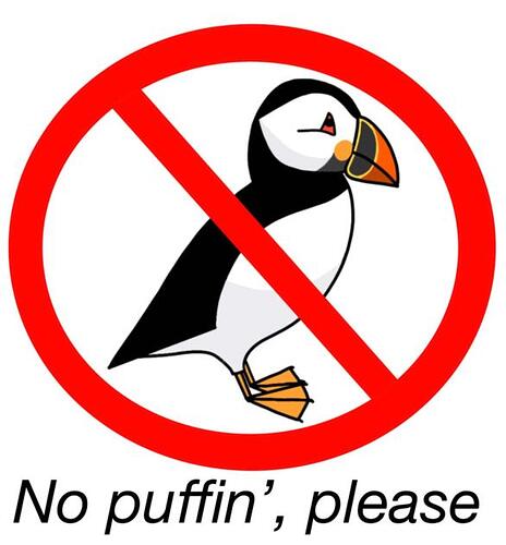 puffin