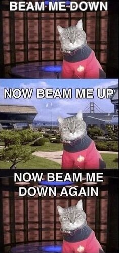 1000014436