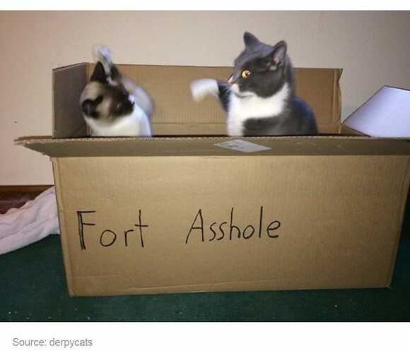 Fort Asshole