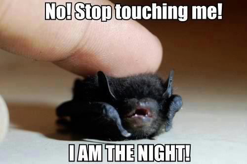 bat stop touching me