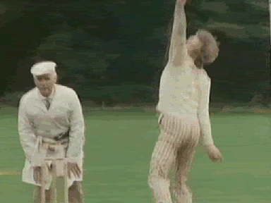 5th-doctor-cricket