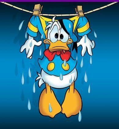 donaldduck