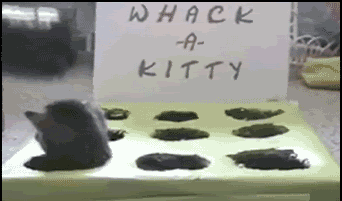cat whack a kitty