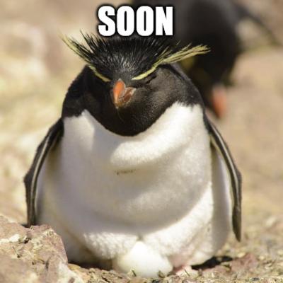 2soon-penguin