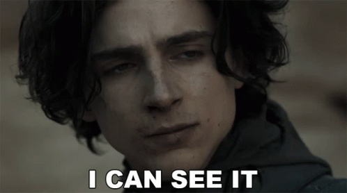 i-can-see-it-timothee-chalamet-408963684