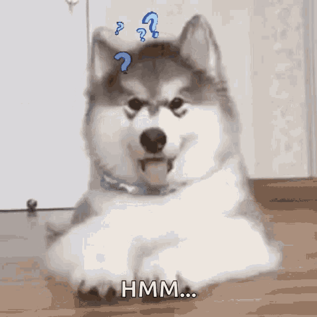 confused-huh-2965159568