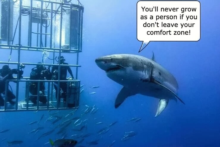 comfort-zone-funny-picture-funny-picture-6662942