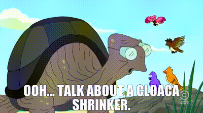 cloaca