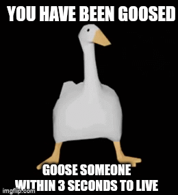 7bnkxw-2225797994