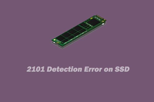 2101-detection-error-on-ssd-thumbnail