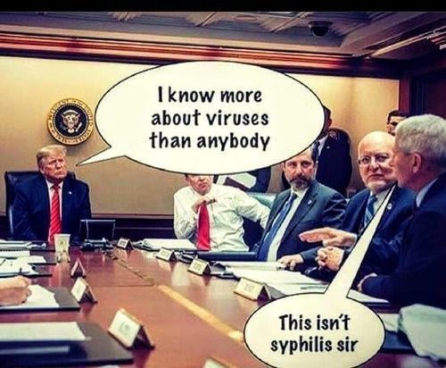 viruses