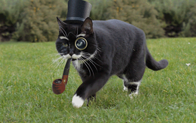 cat%20on%20prowl%20top%20hat%20monocle%20pipe%20rounder