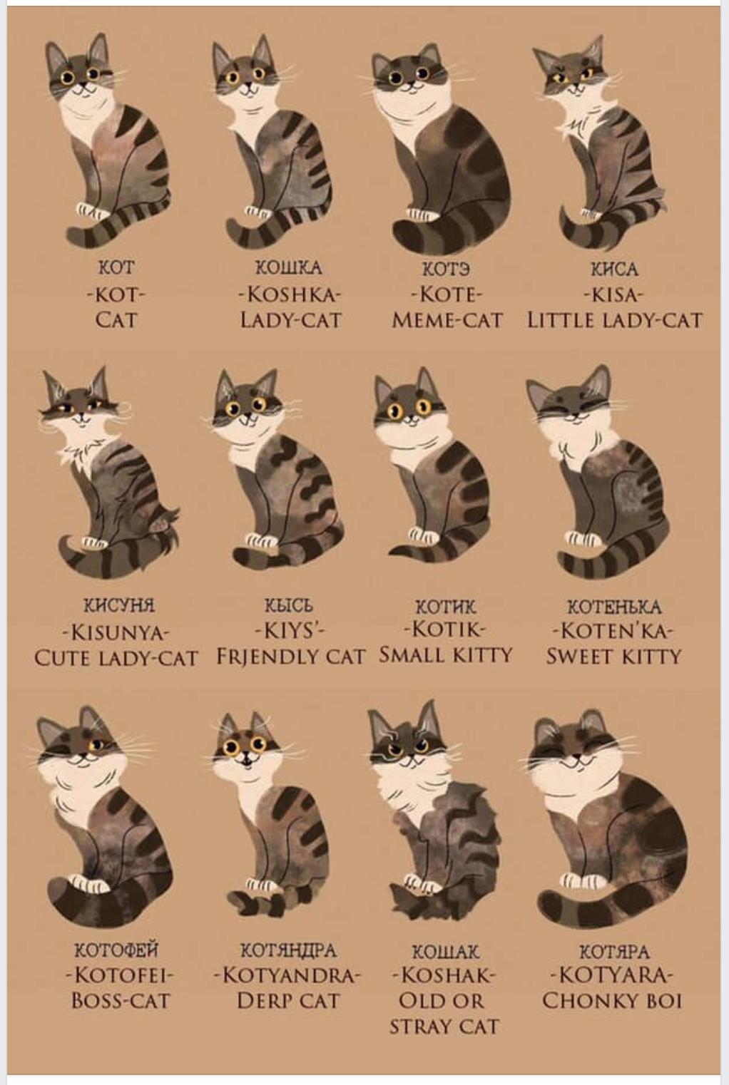 Russian cats