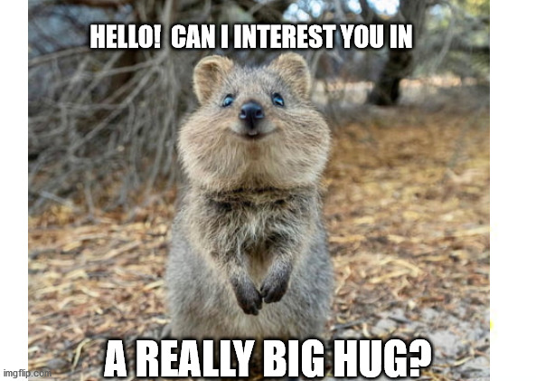 can_i_interest_you