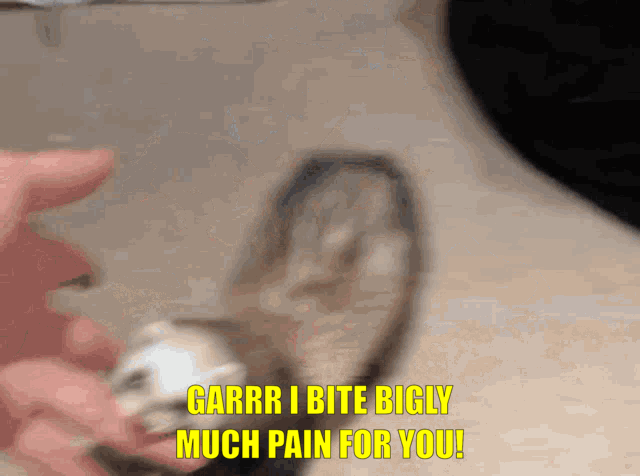 ferret-biting-a-person