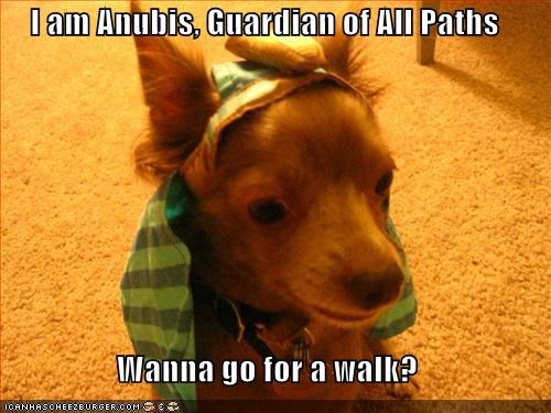 i-am-anubis-guardian-of-all-paths-wanna-go-for-a-walk